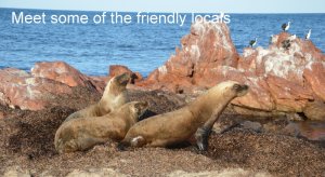 Meet some of the friendly locals